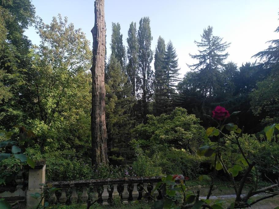 Magnifiques Ecuries Juste Renovees - Domaine De La Mulotiere Villa Langeais Eksteriør billede